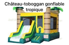 Illustration : Château Gonflable Tropique